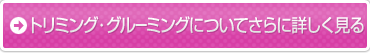 トリミング・グルーミングについてさらに詳しく見る