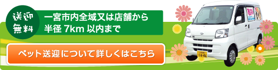 ペット無料送迎サービス