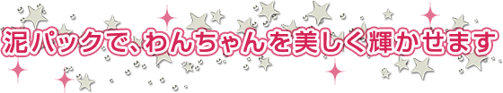 泥パックで、わんちゃんを美しく輝かせます