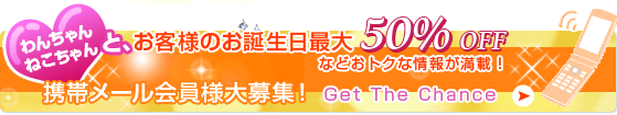 わんちゃん・ねこちゃんとお客様のお誕生日最大50％オフ。携帯メール会員様大募集