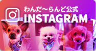 ドッグサロンわんだーらんどfacebookページ