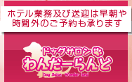 ドッグサロンわんだーらんどでは早朝や定休日のご予約も承ります