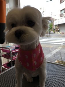 IMG_0164