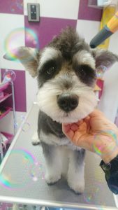 IMG_20171227_155402